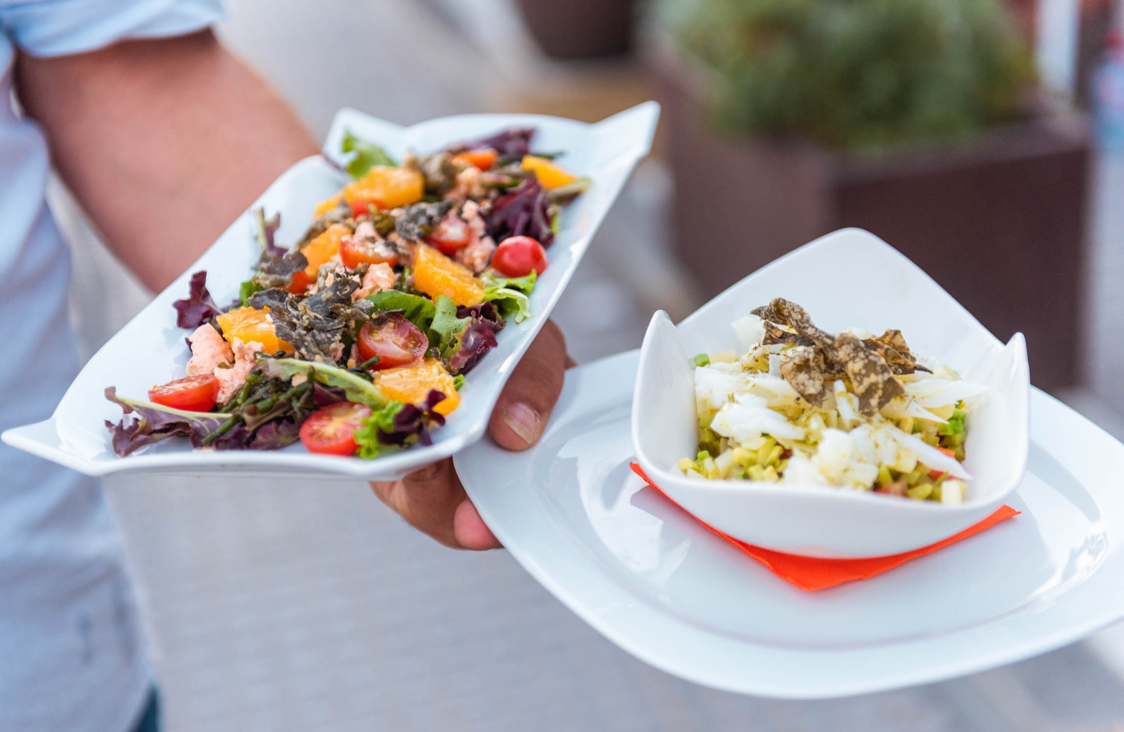 Our local and our dishes, overlooking the sea Quilla, Cádiz